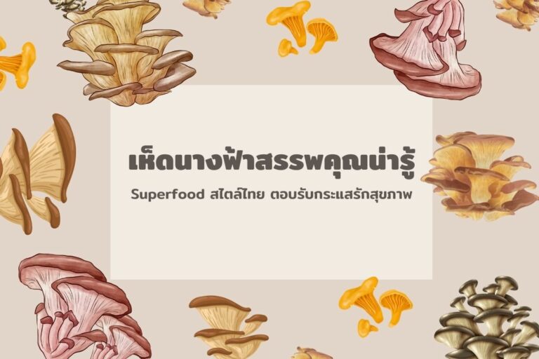 เห็ดนางฟ้าสรรพคุณน่ารู้ Superfood สไตล์ไทย ตอบรับกระแสรักสุขภาพ (1)